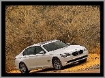 BMW 750Li F01