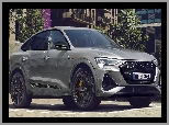 Audi e-Tron S Black Edition