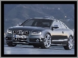 S-Line, Audi A5