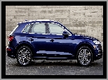 Audi Q5 2.0 TFSI Quattro, 2017