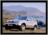 E53, Bmw X5